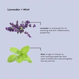 BCL Spa Organics 4-System Starter Kit - Lavander + Mint 16oz